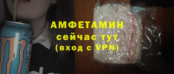 мдпв Карпинск