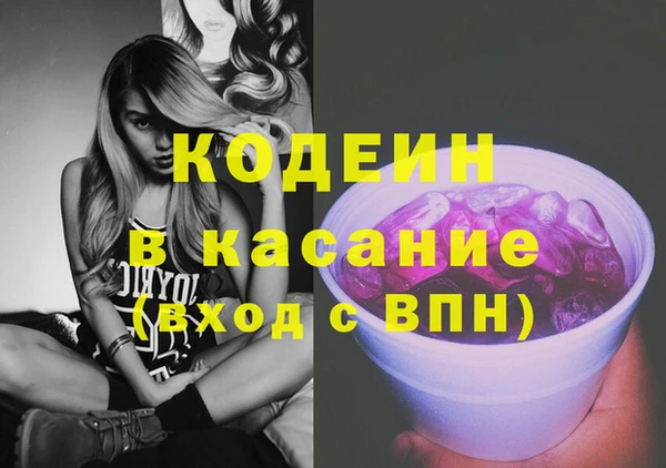 мдпв Карпинск