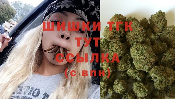 мдпв Карпинск